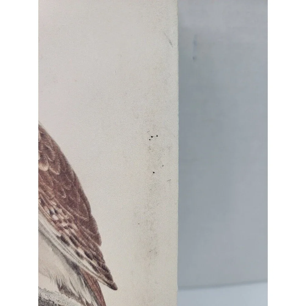 Laura Peirano Naturalismo Owl Inspire Journal Notebook Lined Pages Bookmark...